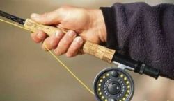 Pêche à la mouche