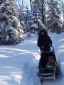 Randonne en Chiens de Traineau