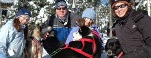 Chiens de Traineau en Famille