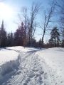 Exp�dition en Chiens de Traineau