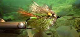 Pêche à la mouche