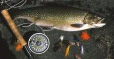 Pêche à la mouche