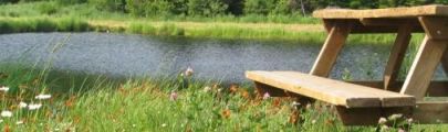 Activit�s Estivales