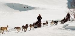 Raid en Chiens de Traineau