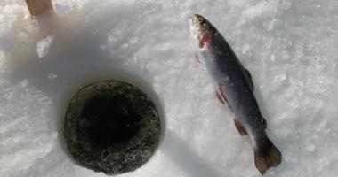 Pche sur la Glace