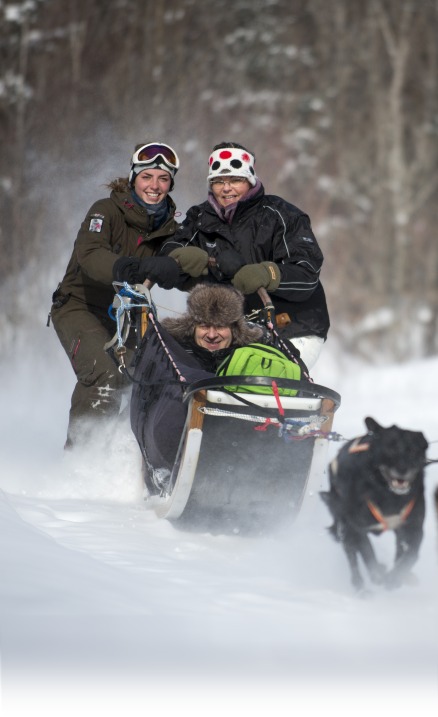 Vivre l'expérience de conduire un traineau à chiens