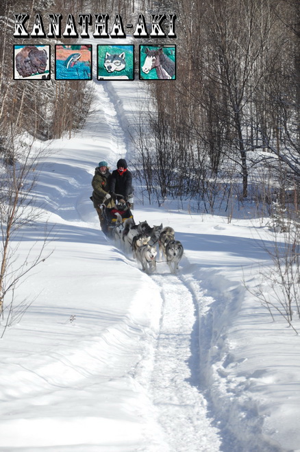 randonnée en chien de traineau dans les Laurentides