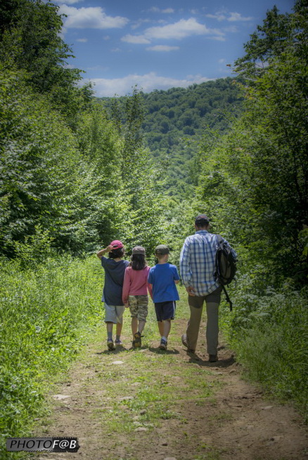 Journée aventure survie en forêt