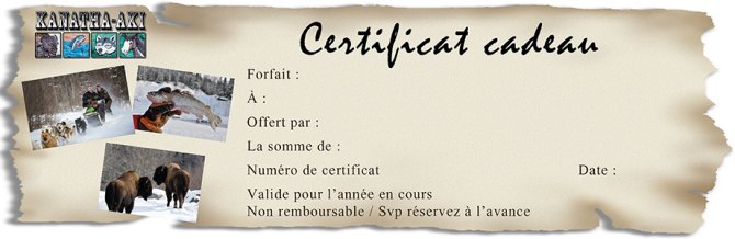 Certificat cadeau pour faire du traineaux  chiens