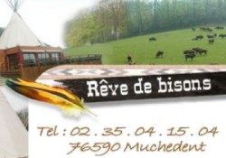 Domaine Rve de bisons